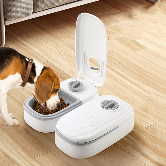 Understanding Your Dog's Nutritional Needs: A Complete Guide