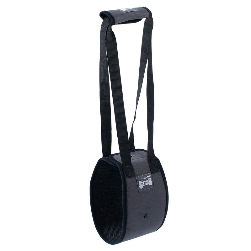 Dog Walking Auxiliary Belt - Neoprene, All sizes and colours