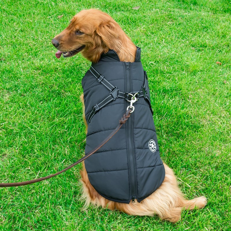 Dog Cotton Vest/Jacket - Pet Winter Apparel