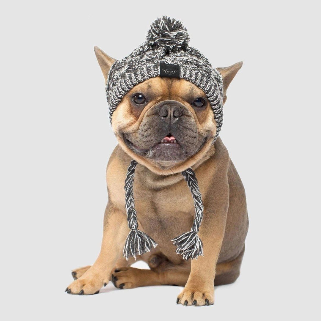 Winter Fashion Dog Hat, Windproof, Knitted Polar, Pom Pet Hat