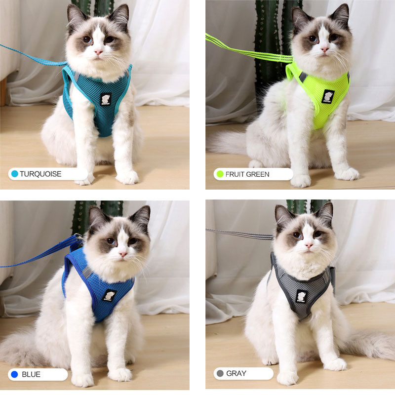 Cat harness and leash - Cat Walker - Variety of colours