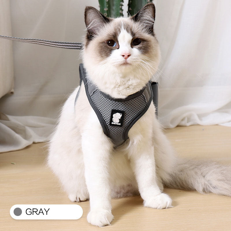 Cat harness and leash - Cat Walker - Variety of colours