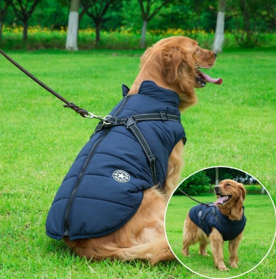 Dog Cotton Vest/Jacket - Pet Winter Apparel