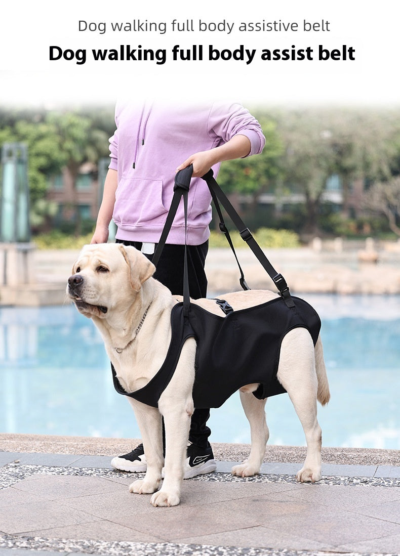 Oxford Cloth Dog Injury Comfy Travel Auxiliary Strap - S-XL