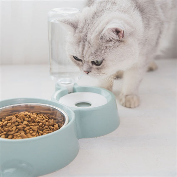 Dog bowl - automatic water refill, feeding bowl