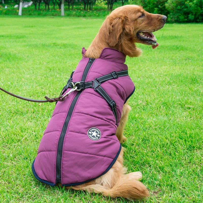 Dog Cotton Vest/Jacket - Pet Winter Apparel