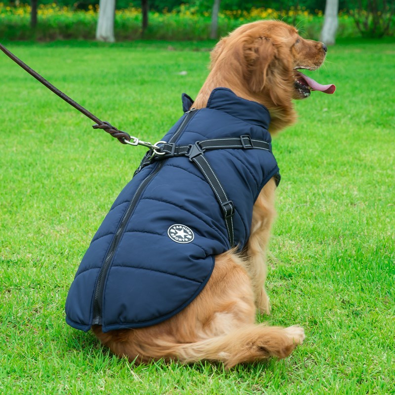 Dog Cotton Vest/Jacket - Pet Winter Apparel