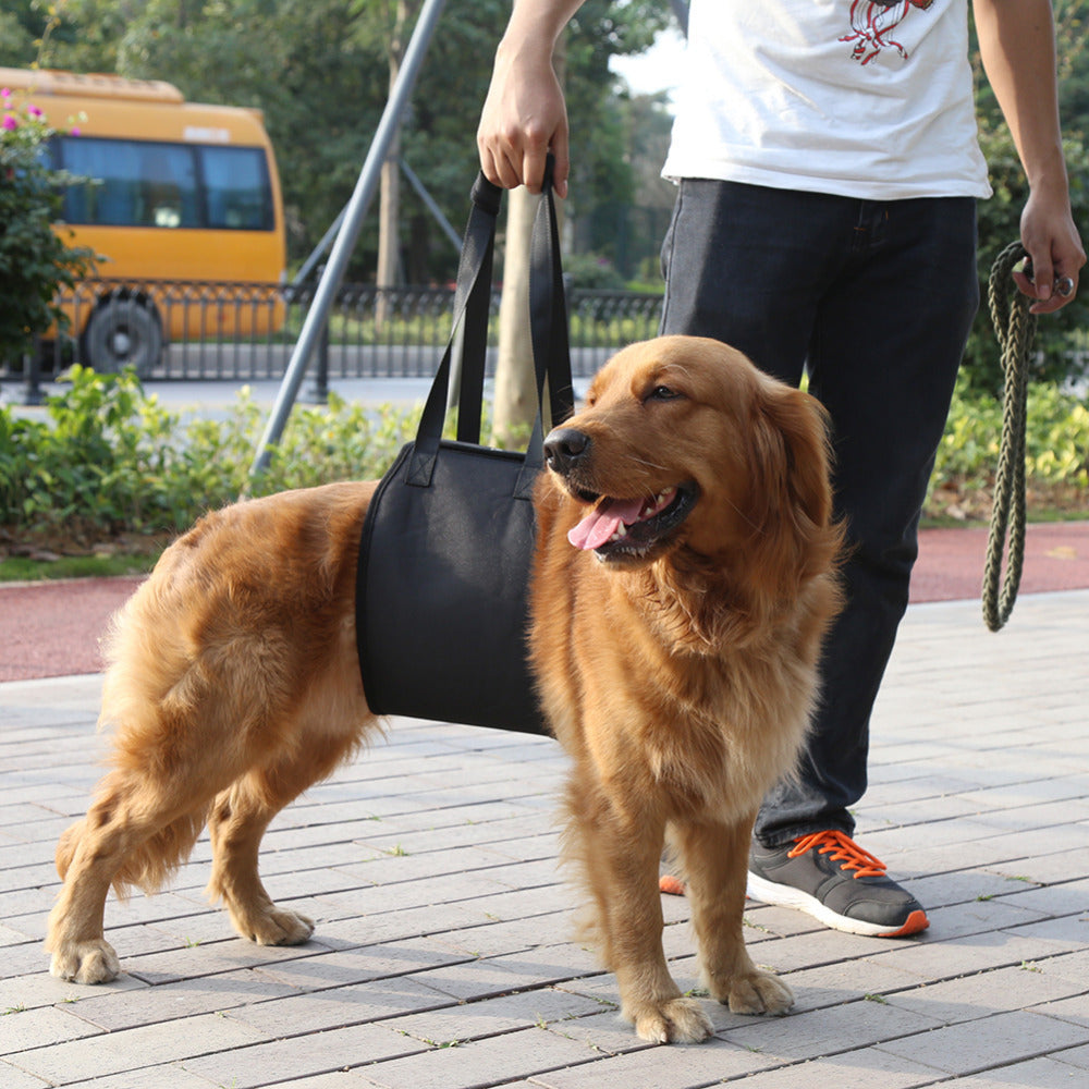 Dog Walking Auxiliary Belt - Neoprene, All sizes and colours