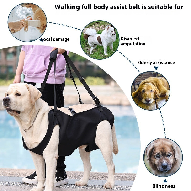 Oxford Cloth Dog Injury Comfy Travel Auxiliary Strap - S-XL