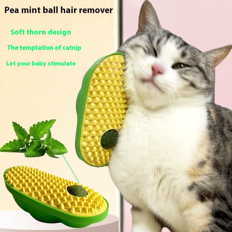 Cat Scratching Toy