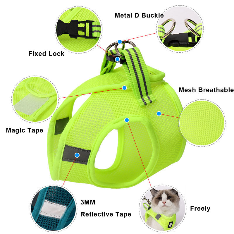 Cat harness and leash - Cat Walker - Variety of colours