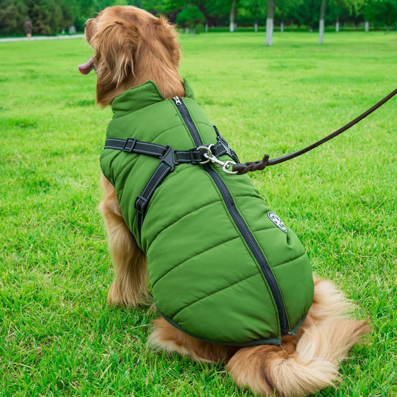 Dog Cotton Vest/Jacket - Pet Winter Apparel