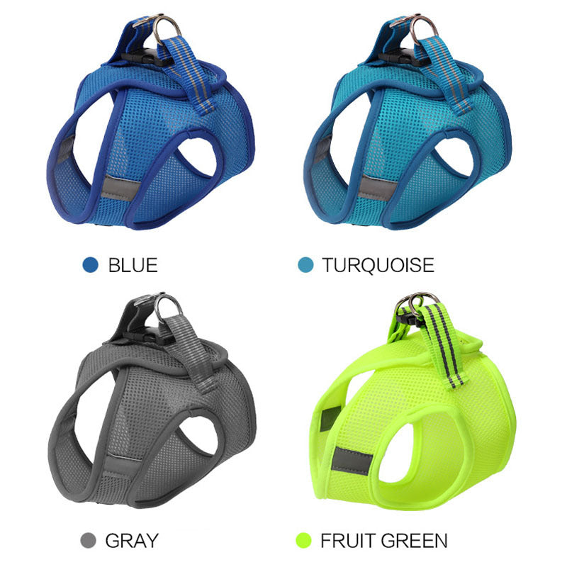 Cat harness and leash - Cat Walker - Variety of colours