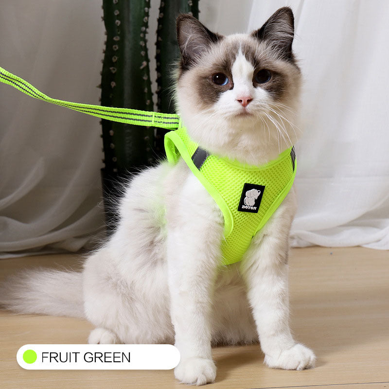 Cat harness and leash - Cat Walker - Variety of colours
