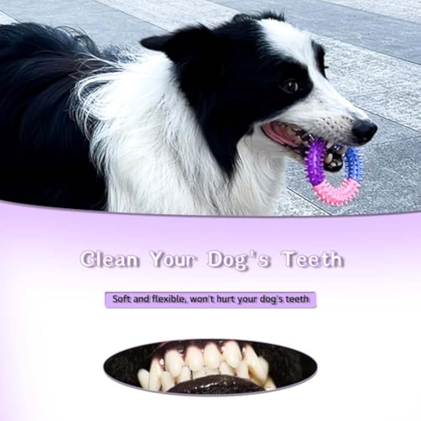 Dog Chew Ring Toy, Dog Teething, Rubber Puppy Teething Toys - Small, Medium, Large Dogs