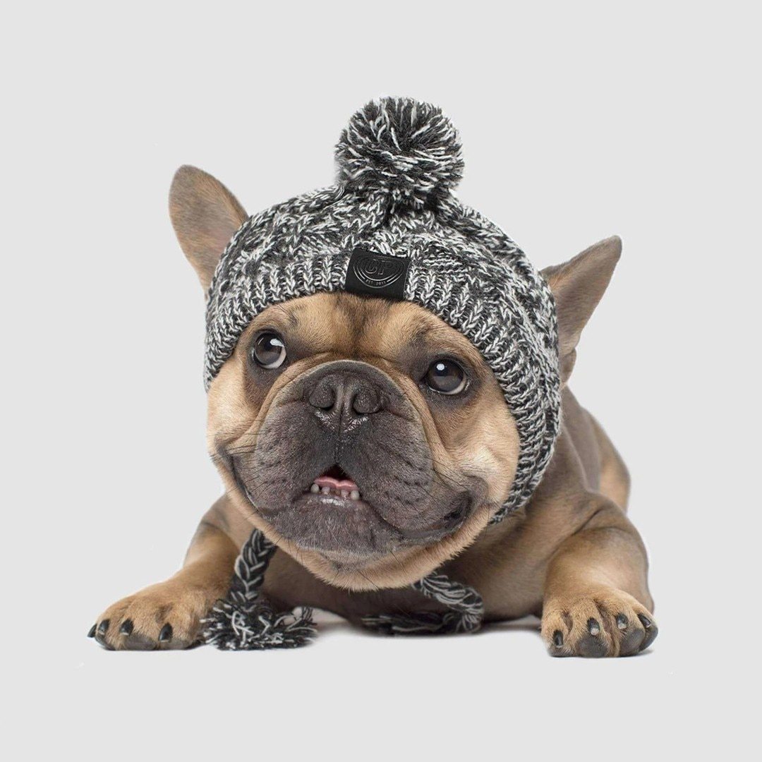 Winter Fashion Dog Hat, Windproof, Knitted Polar, Pom Pet Hat