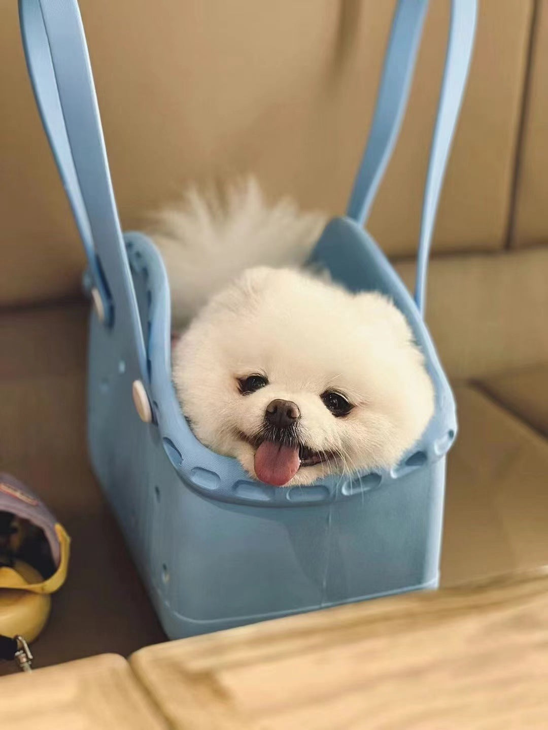 Dog carrier