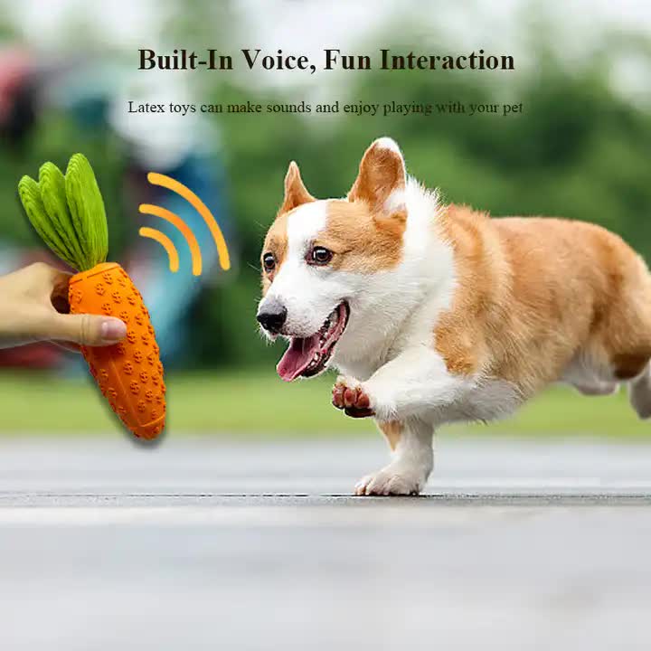 2 x 2 PCS Dog bundle, Safe, durable, fun, dog training