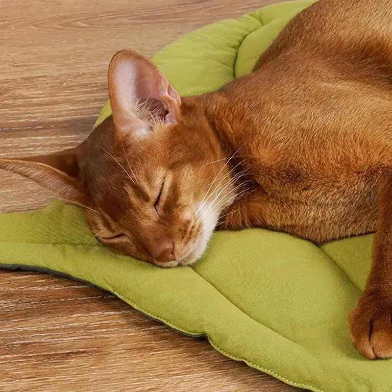 1 Pcs Green Leaf-Shaped Pet Sleeping Mat - Durable, Cat and Dog