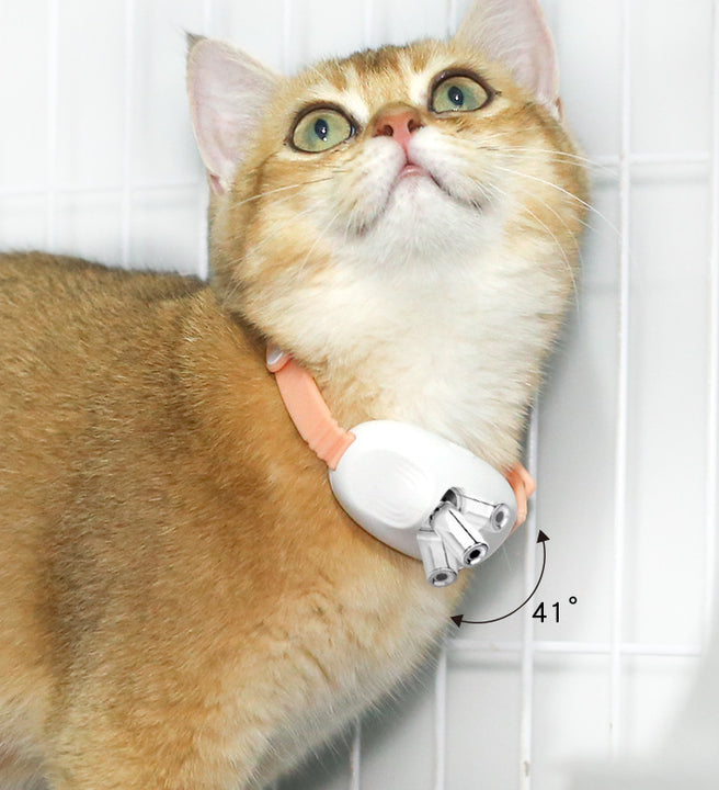3 Pcs, Smart Laser Pointer Collar for Cats – Automatic, Interactive Toy