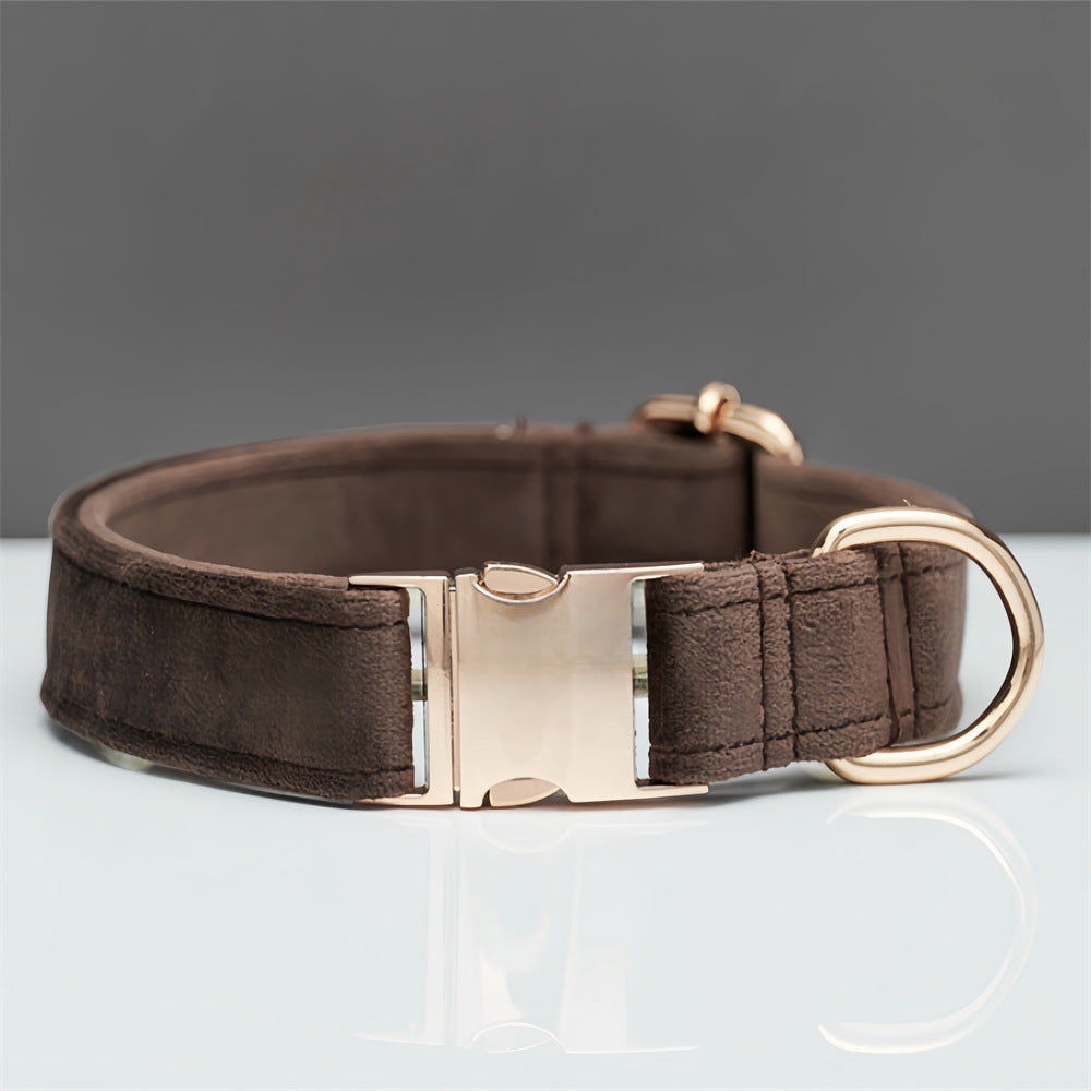 Durable Dog Collar with Metal Buckle – Adjustable Nylon, XS