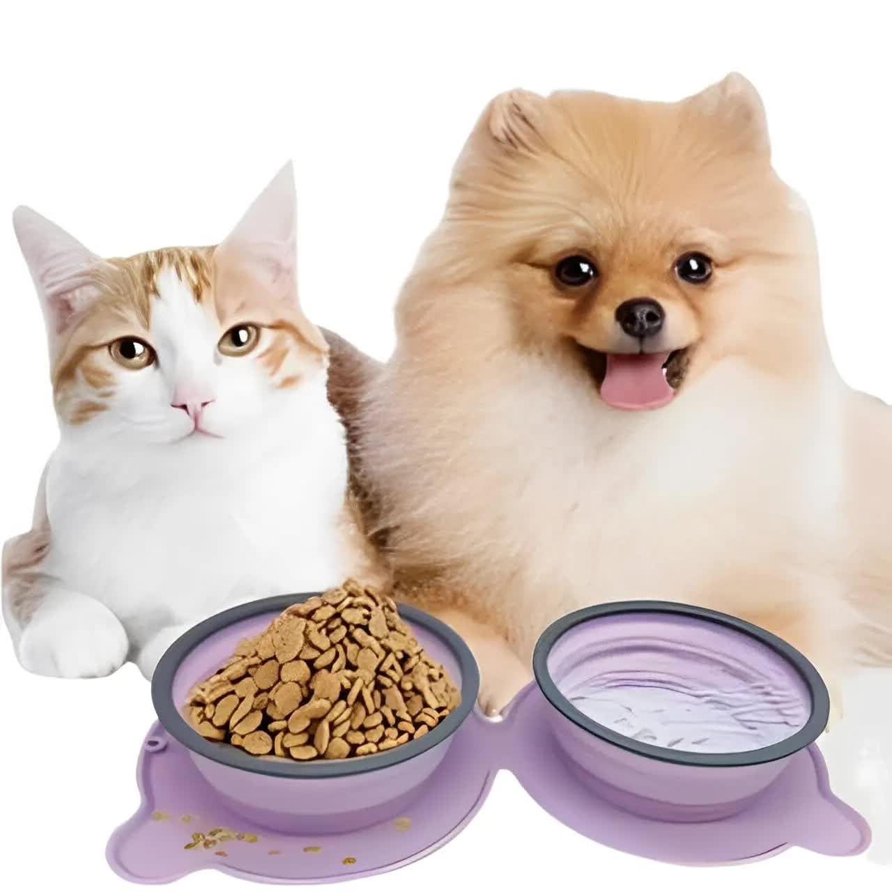 Portable Collapsible Pet Bowl Set - Food-Grade Silicone Double Bowl for Dogs & Cats