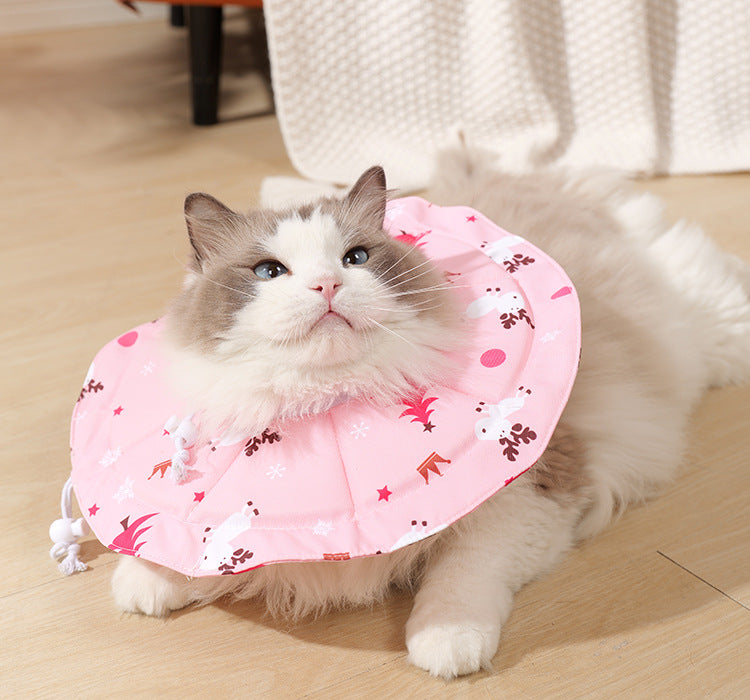 Comfortable Cat Recovery Collar | Waterproof, Anti-Lick - 2 Pcs Pink