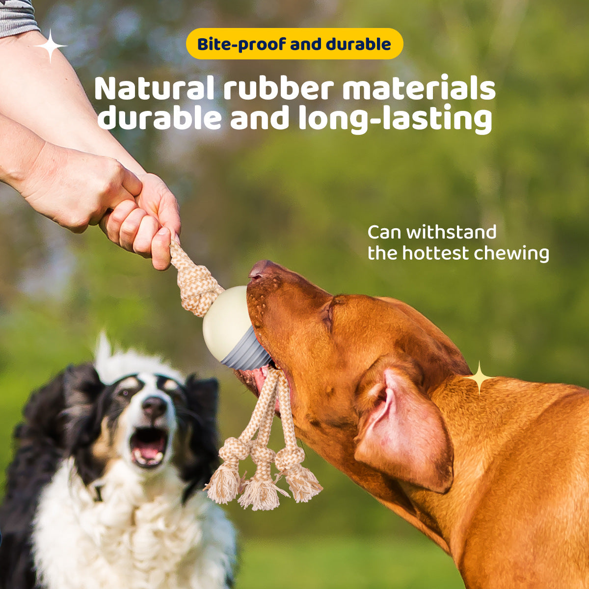 Durable Knot Rope and Ball Dog Toy - Chew and Tug Play for Pets
