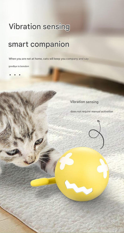 Interactive Cat Toy - Self-Rolling Ball with LED Light