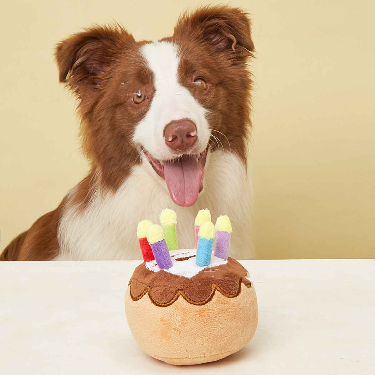 Pet Plush Toy, Dog Birthday Candle Cake, Fetch