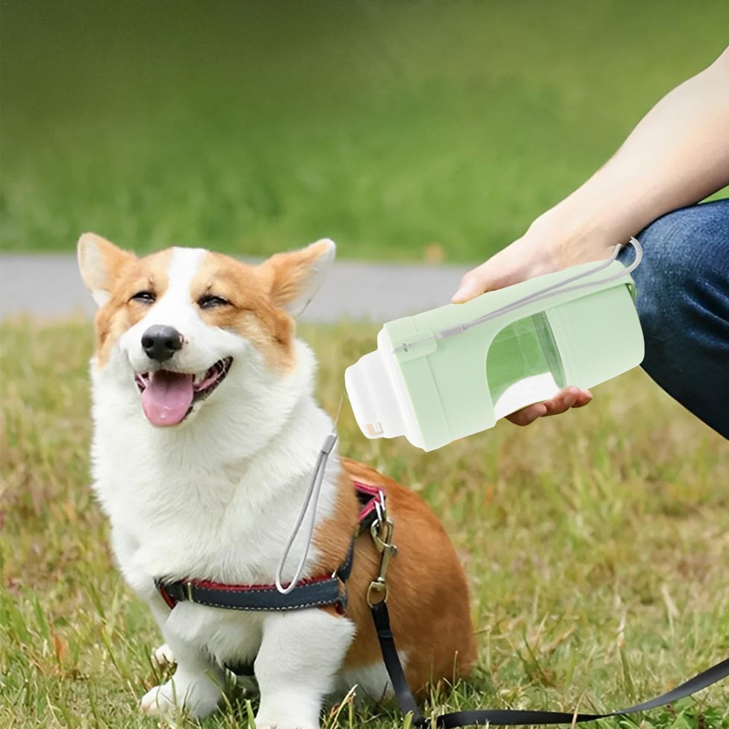 2 In 1 Dog Water Bottle with Lanyard, Pet Water Dispenser, Food/Drink