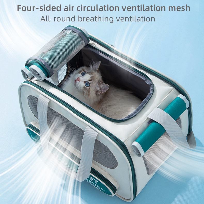 Dogs, Cats Travel Bag, Mesh, Soft Sided, Collapsible, Breathable