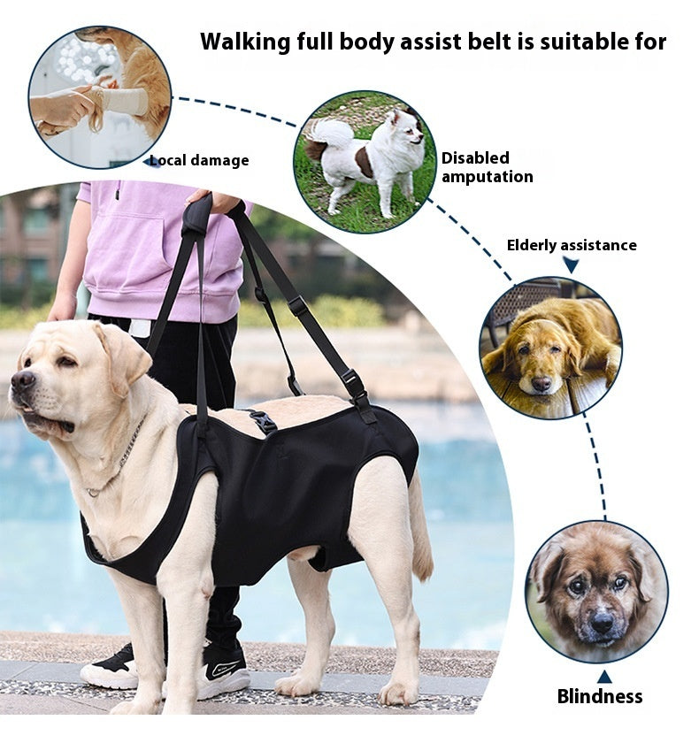 Oxford Cloth Dog Injury Comfy Travel Auxiliary Strap - S-XL