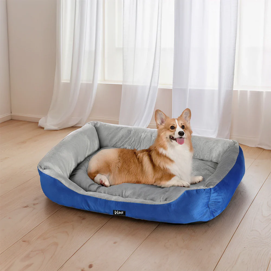 The Ultimate Guide to Dog Travel Essentials in Australia