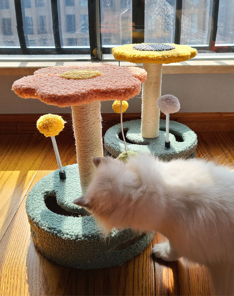 Cat Scratch Board, Grinding Cat Claws, Cat Toys