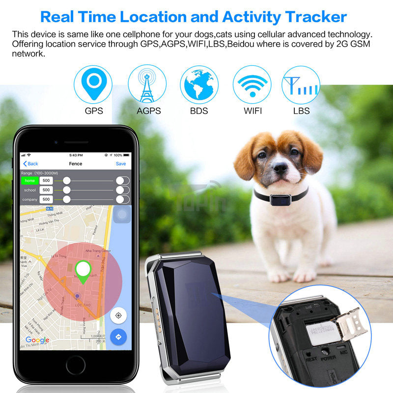 GPS tracker for cats and dogs, Real Time, Pet GPS, AGPS, WiFi