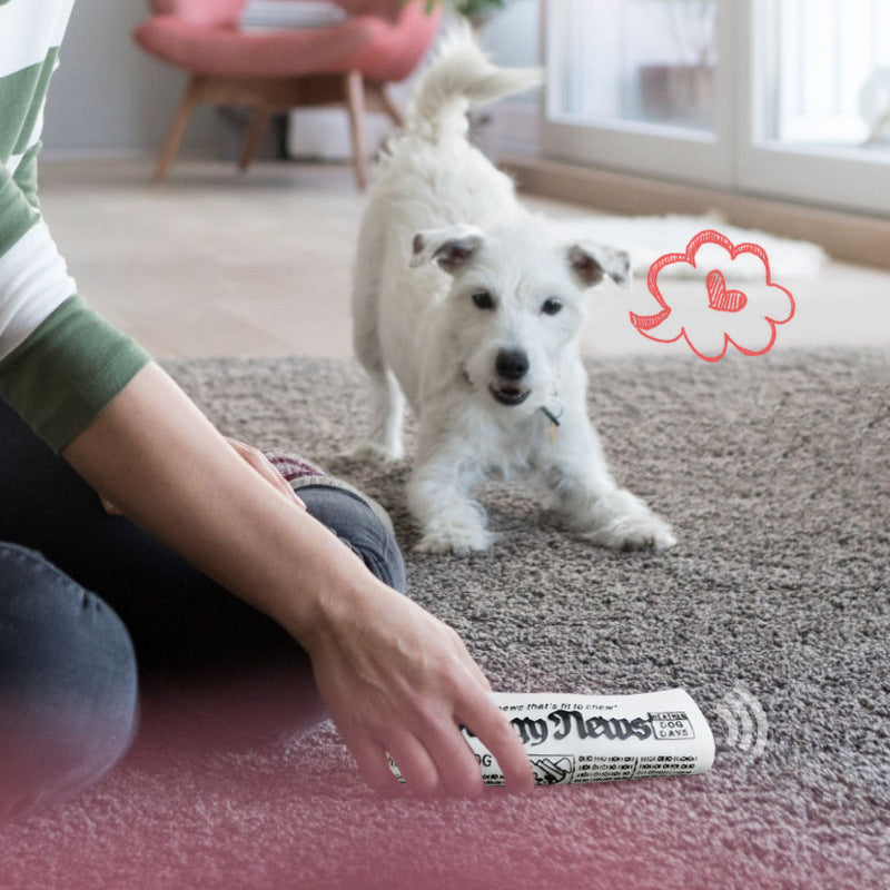 Squeaky Pet Dog Toy Newspaper, Chew Training Toys