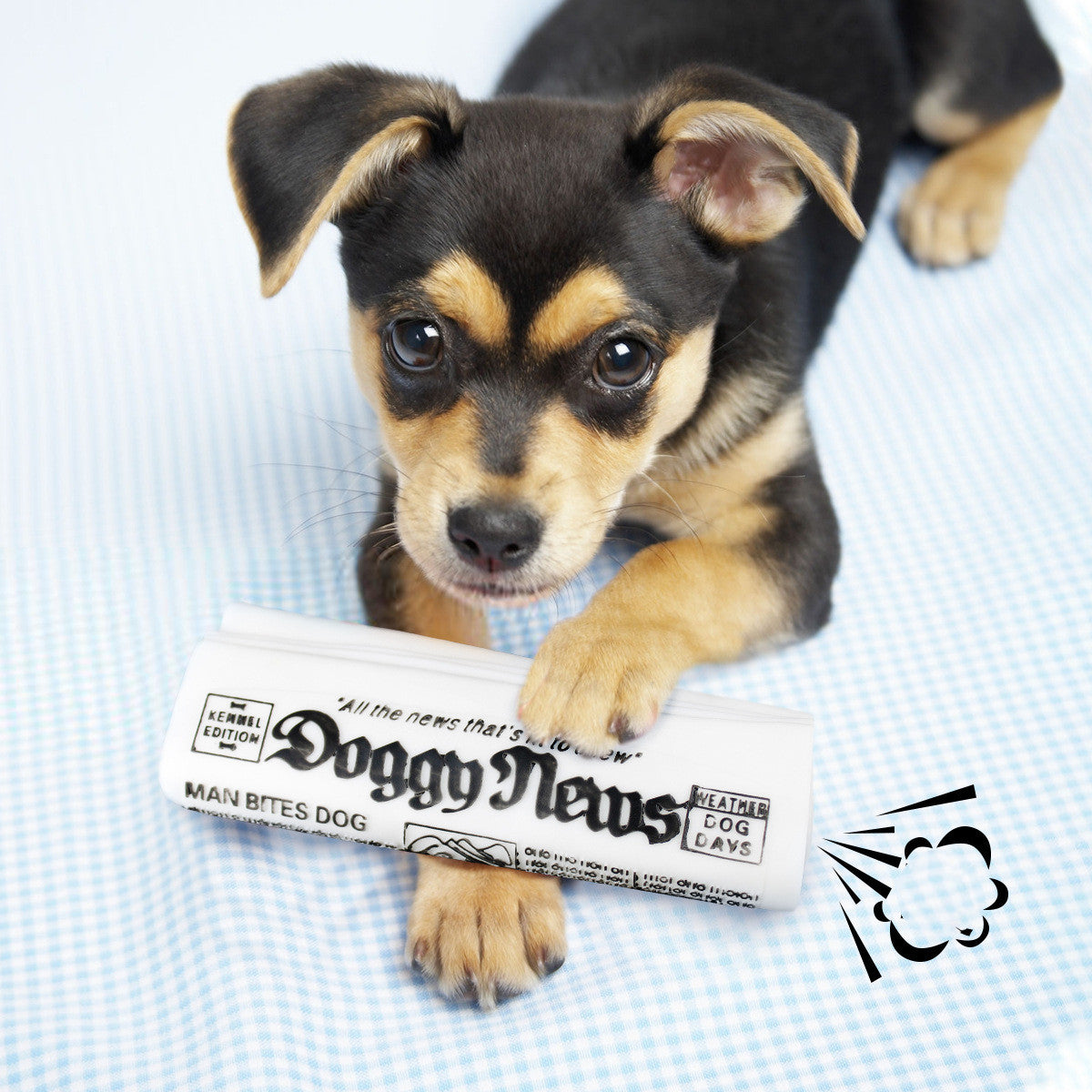 Squeaky Pet Dog Toy Newspaper, Chew Training Toys