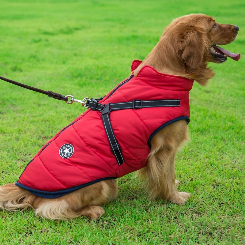 Dog Cotton Vest/Jacket - Pet Winter Apparel