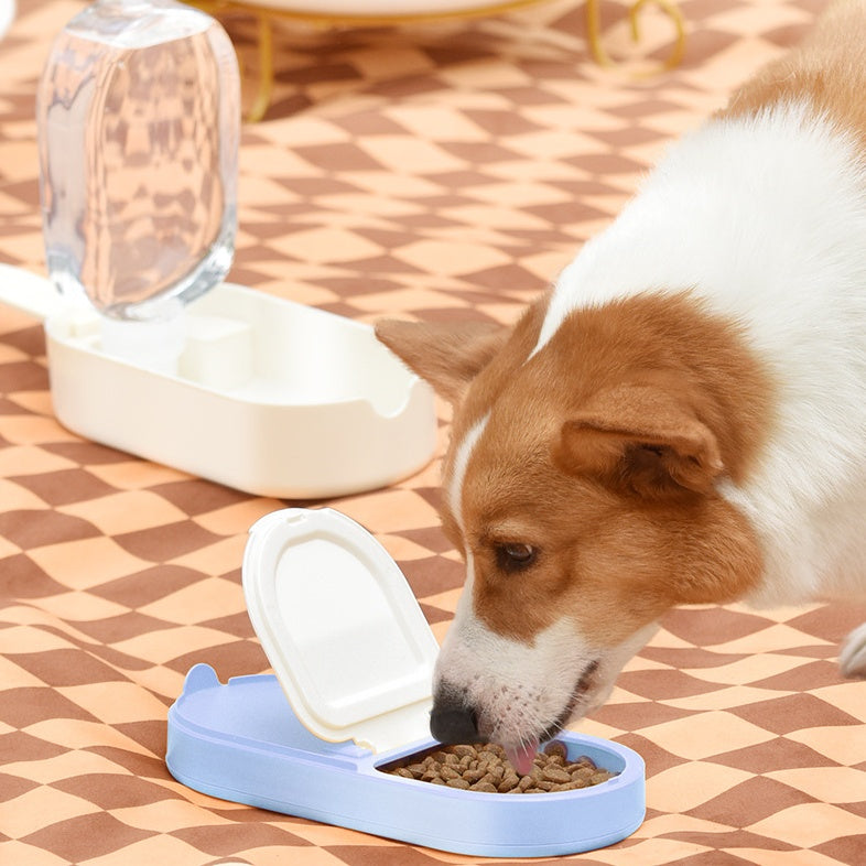 Dog Water Container and Feeder, Stylish Picnic Accessory for Dogs