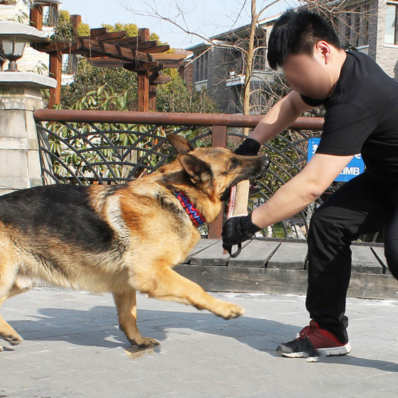 Bite Stick for Dog Training