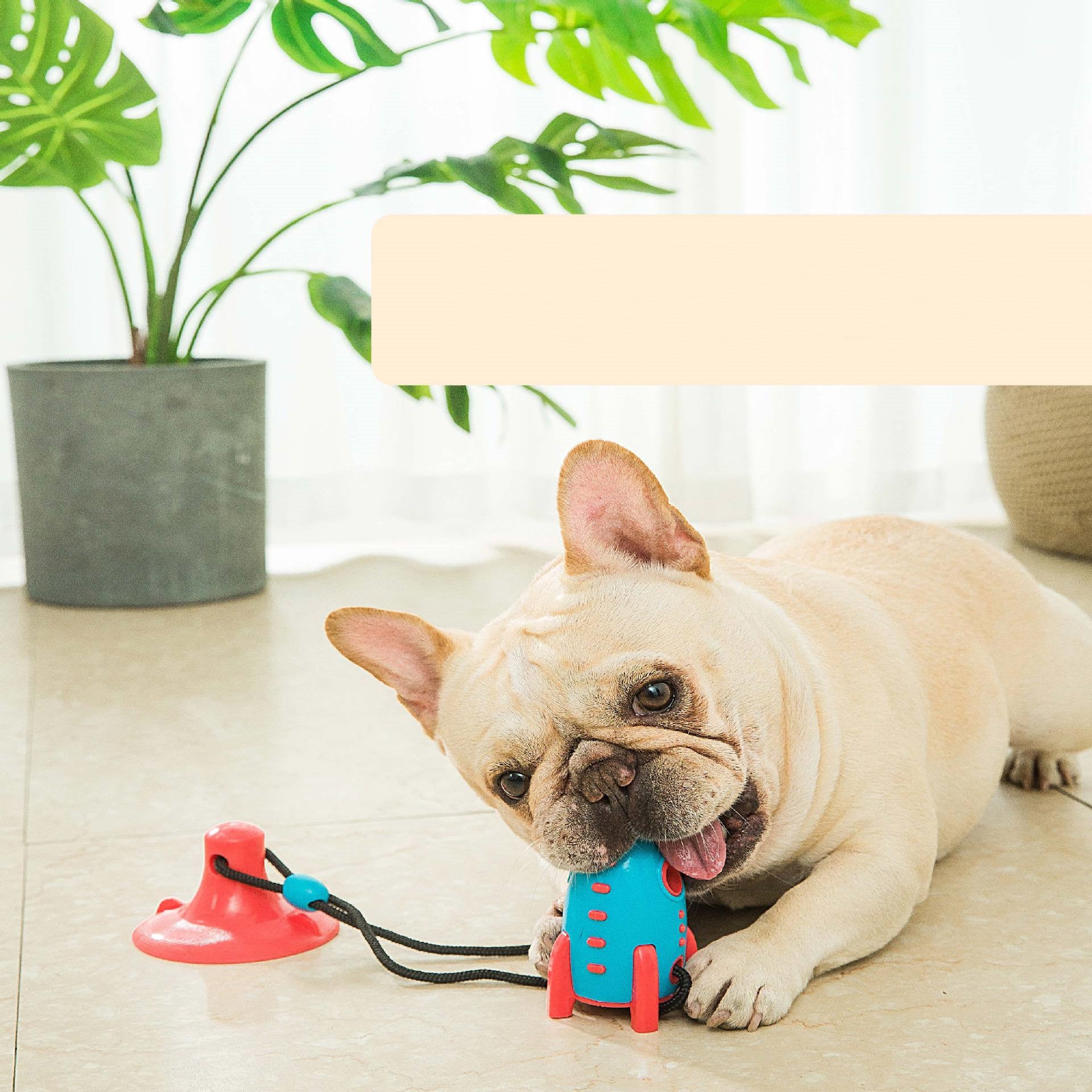 Dog Chew Toy, Bite-resistant Rocket Toy