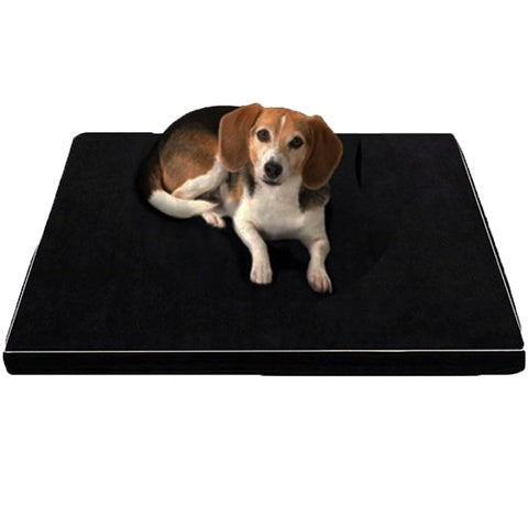 Memory Foam Beds for Elderly Dogs - Medium, Large