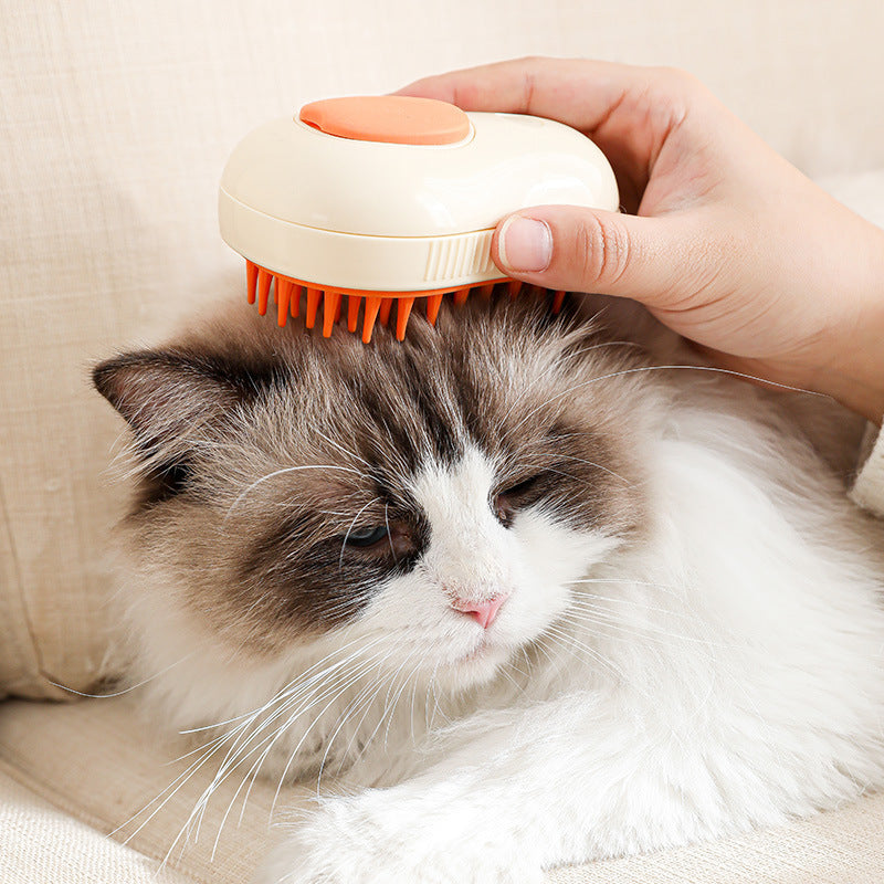 Cat Steam Brush, Cat/Dog Grooming Comb, Electric/USB Steam Massage