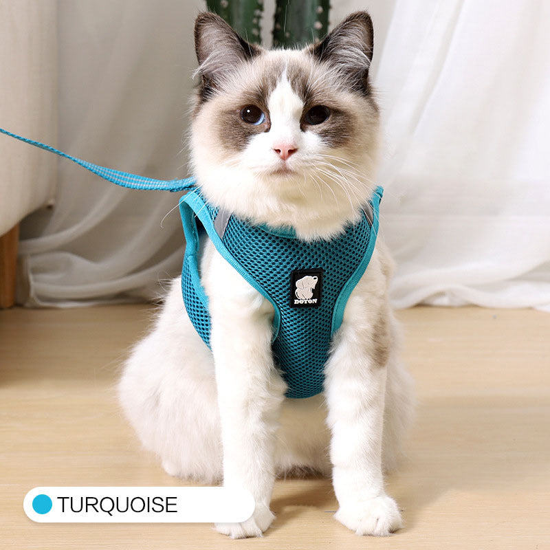 Cat harness and leash - Cat Walker - Variety of colours