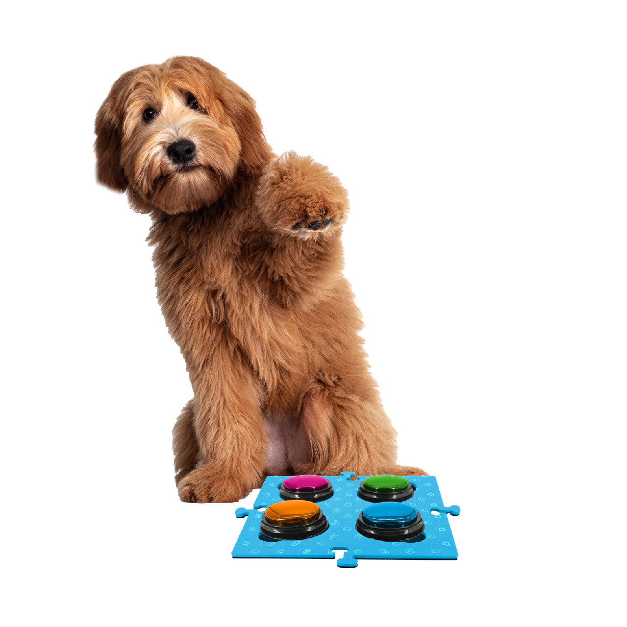 Tech4Pets Blue Mat, 2-Pack for Dog/Cat, Buttons & Floor protector