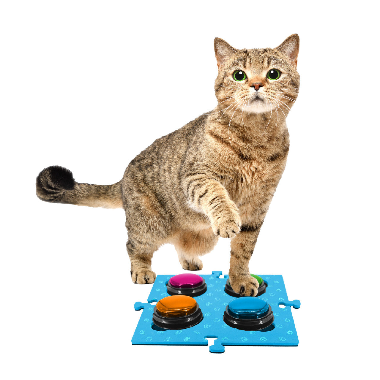 Tech4Pets Blue Mat, 2-Pack for Dog/Cat, Buttons & Floor protector