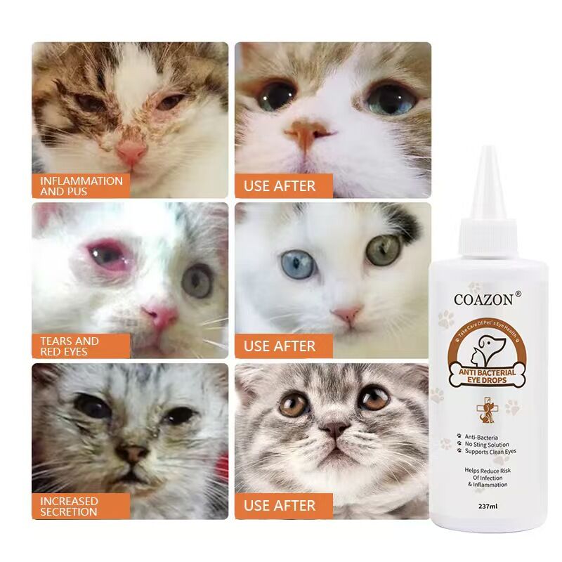 Eye Stain Remover for Dogs and Cats, Dry Eyes, Keratitis