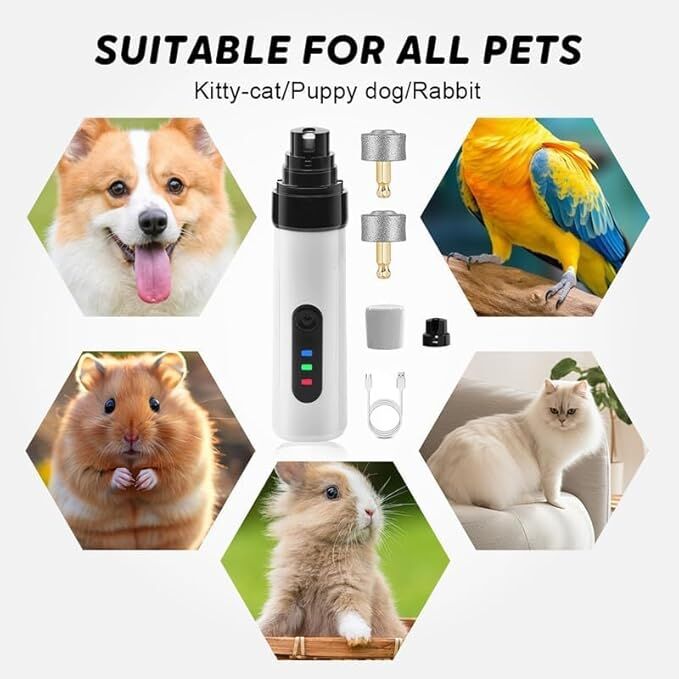 Love of Pets