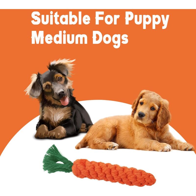 2 pcs Carrot Dog Chew Toys, Braided ROpe Dog Toy